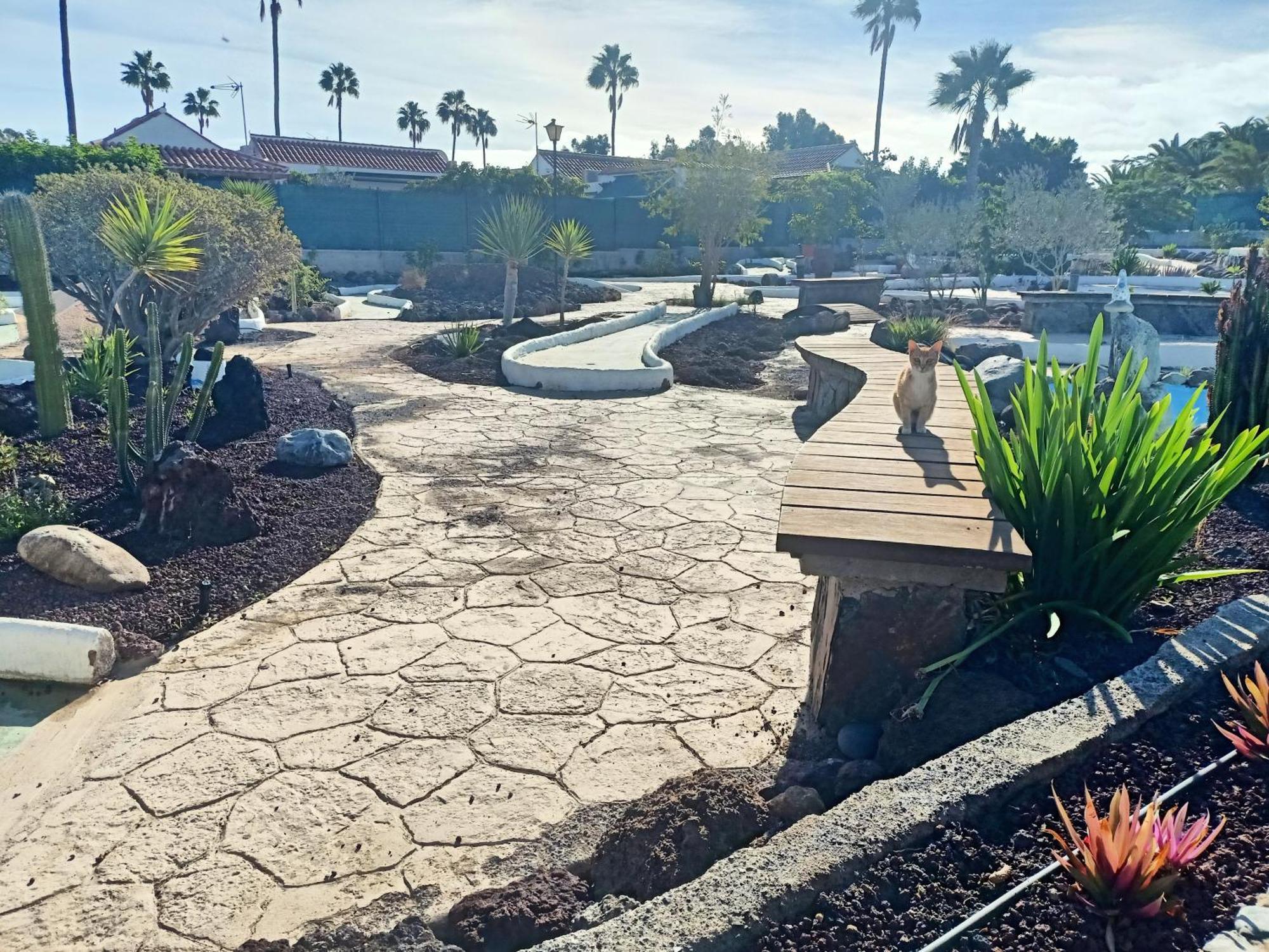 Bungalow En El Sur De Gran Canaria Лас-Пальмас-де-Гран-Канария Экстерьер фото